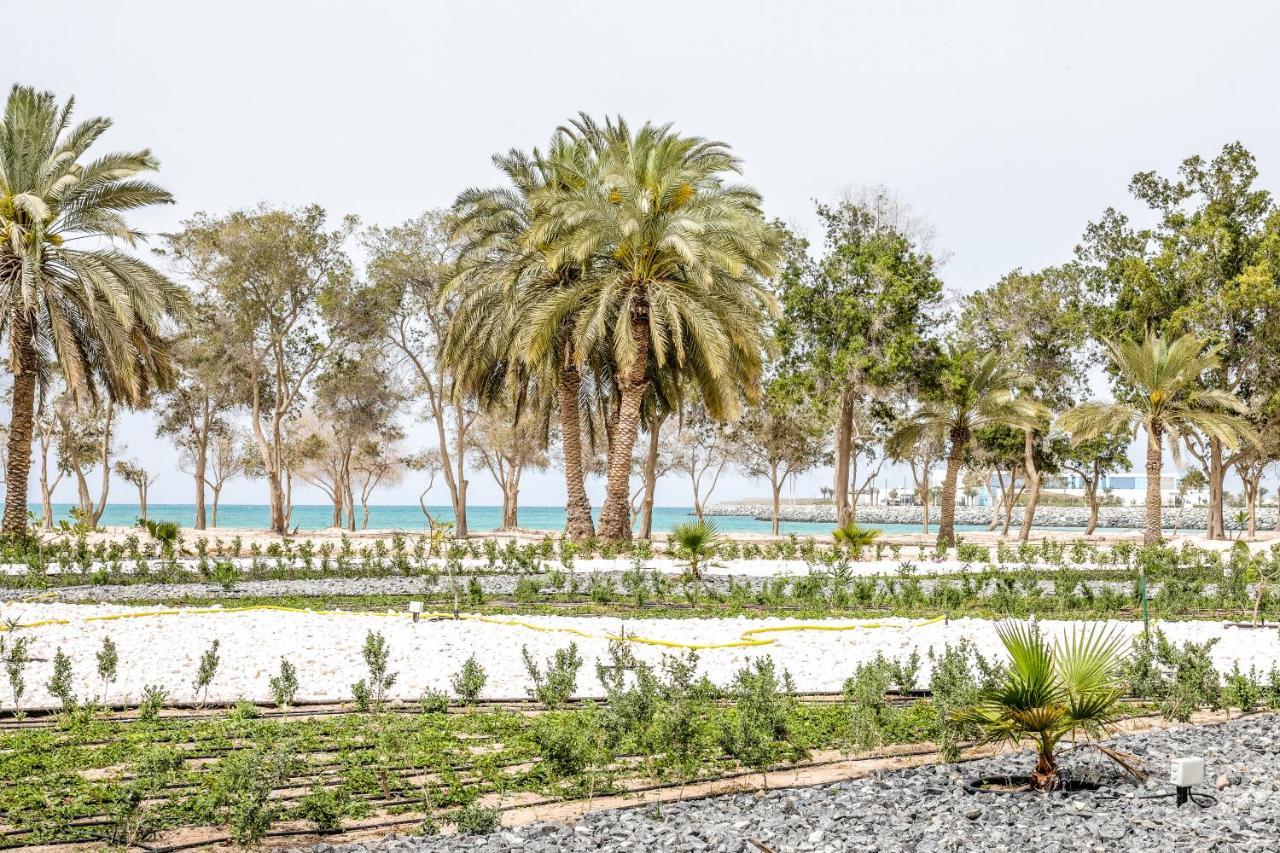 Dhafra Beach Hotel Джебел Дхана Екстериор снимка
